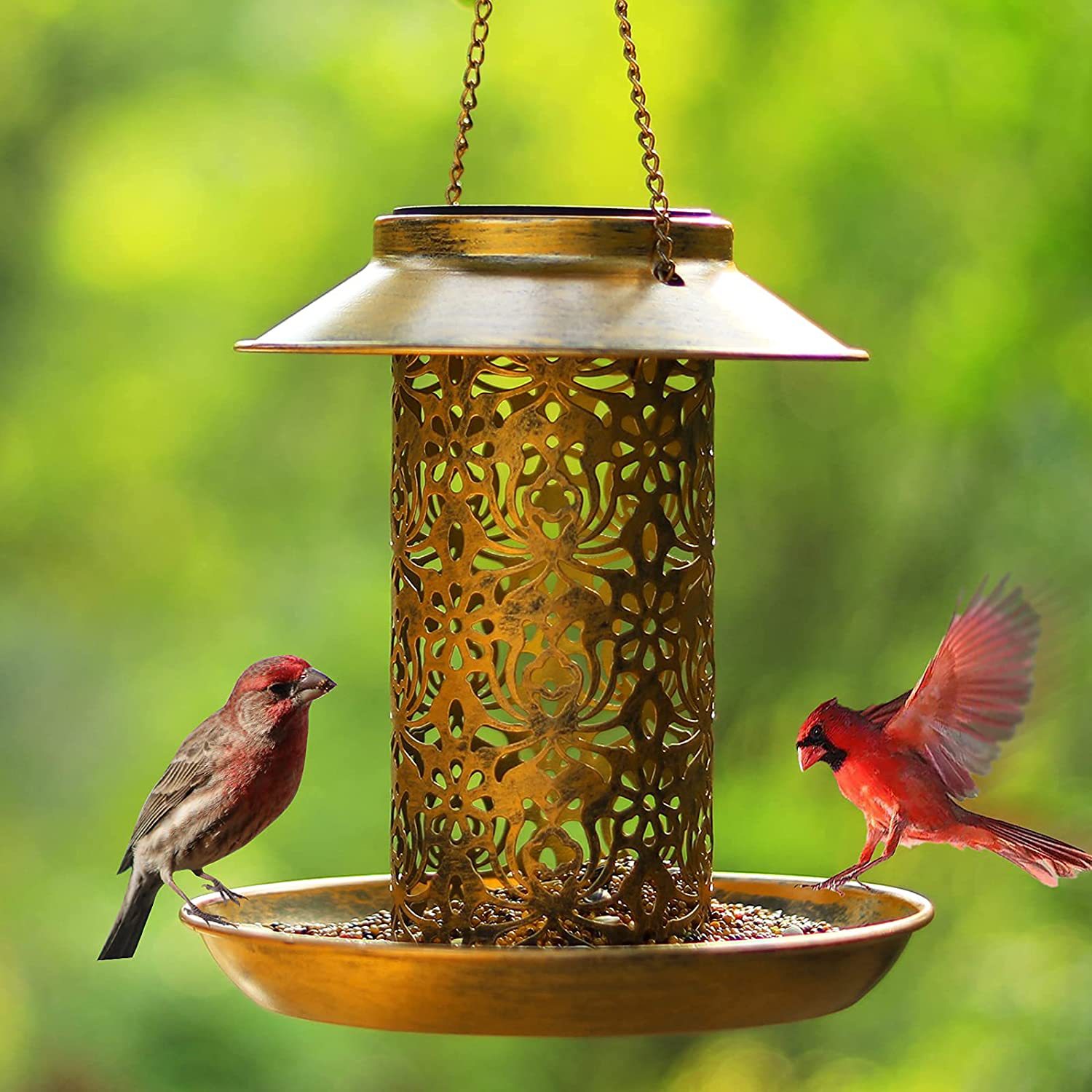 Outdoor Lighting Ideas For House - Rumah Burung Gantung Logam Luar Ruangan